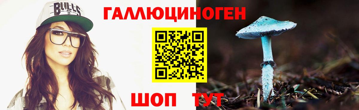 Муравленко  Галлюциногенные грибы GOLDEN TEACHER  Вход с VPN  Псилоцибиновые грибы прущие грибы 