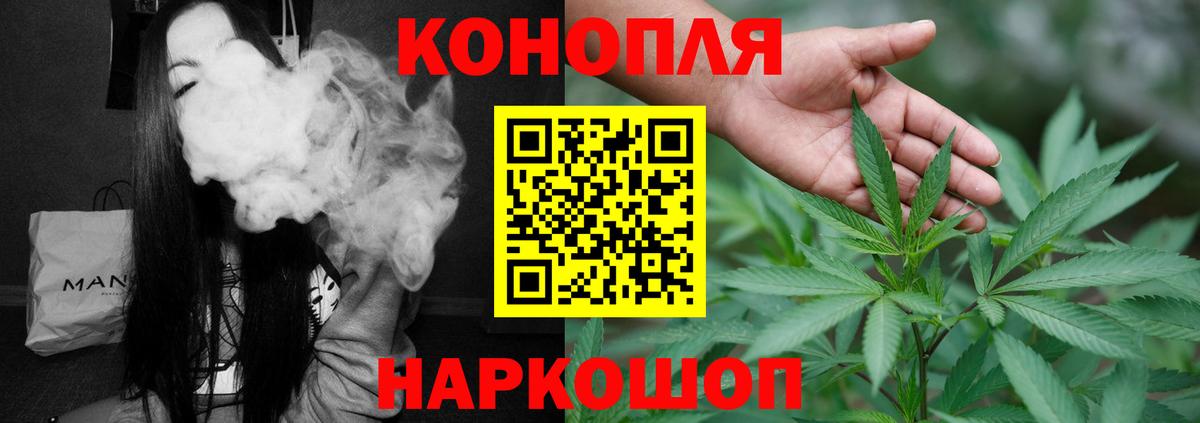 Бошки Шишки гибрид Муравленко